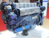 Weichai Original Diesel Motor(WP10.336NE31)